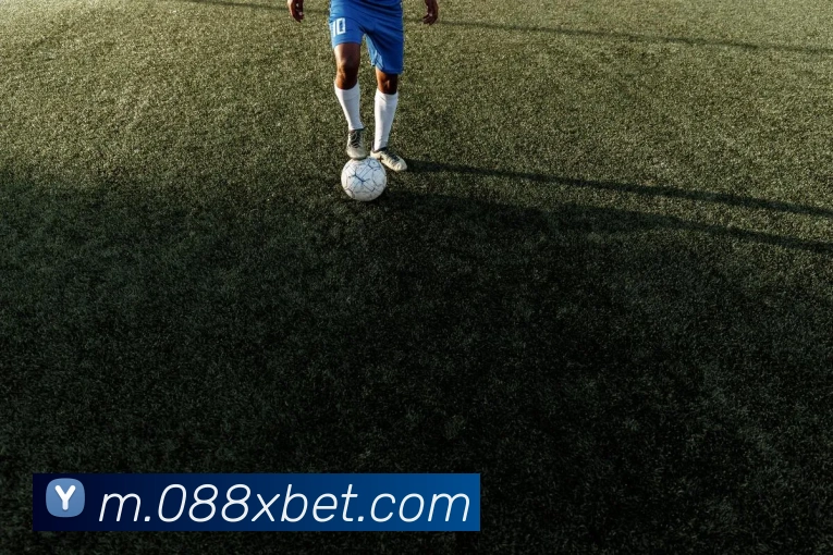 bet365comAPP 封面图